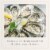 Neyers Chardonnay Sonoma County White Wine Perspective: right