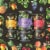 Bonsai Blackberry Lime Sweetened Sparkling Water Cans Perspective: right