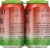 Wild Heaven Watermelon Beer Perspective: right