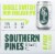 Southern Pines Brewing Co. Tropical Hoppy IPA Perspective: right