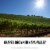 The Prisoner Wine Company Blindfold White Blend White Wine Perspective: right