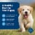 Blue Buffalo Life Protection Formula Natural Puppy Dry Dog Food Chicken & Brown Rice Perspective: right