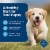 Blue Buffalo Life Protection Formula Natural Puppy Dry Dog Food Chicken & Brown Rice Perspective: right