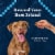 Blue Buffalo Wilderness Grain-Free Trail Treats Crunchy Dog Treats Biscuits Turkey Perspective: right