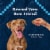 Blue Buffalo Wilderness Grain-Free Soft-Moist Dog Treats Chicken Perspective: right
