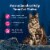 Blue Buffalo Wilderness High-Protein Grain-Free Adult Cat Food Morsels Chicken & Salmon Perspective: right