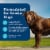 Blue Buffalo Homestyle Natural Senior Wet Dog Food Chicken & Garden Vegetables Perspective: right