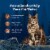 Blue Buffalo Wilderness High-Protein Grain-Free Adult Pate Wet Cat Food Turkey Perspective: right