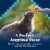 Blue Buffalo Wilderness Chicken & Trout Recipe Cat Treats Perspective: right