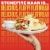 Stonefire® Original Naan Perspective: right