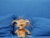 Stuffed Star Wars Plush Toy - 7" Talking Salacious Crumb Doll Perspective: right