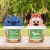 Good 2 Grow® Cinnamon Baked Oat & Wheat Snackers Perspective: right