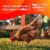 Happy Egg Co.® Free Range Large Brown Eggs Perspective: right