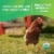 Happy Egg Co.® Organic Free Range Grade A Eggs Perspective: right