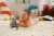 Imaginext® Jurassic World Thrashing Indominous Rex Figure Perspective: right
