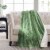 HD Designs Solid Green Oversized Microplush Throw Blanket Perspective: right