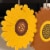Wrapables Sunflower Coasters, Trivet Mats, Pot Holders (Set of 2), Medium Perspective: right