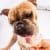 Dogsters Nutly & Cheese Flavored Ice Cream Style Dog Treats Perspective: right