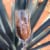 Tequila Ocho Anejo Single Estate La Estancia Perspective: right