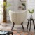 Accent Chairs in Polyester for Home or Office Use Perspective: right