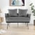 Hivvago Modern Loveseat Sofa Upholstered Dutch Velvet Sofa Couch-Gray Perspective: right