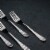 High Polish Stainless Steel Dinner Fork 8  | 20 Cm  Set Of 6  In Gift Box WL-999201/6C Perspective: right