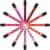 SHANY The Wanted Ones - Multi Colored Lip Gloss Set Perspective: right