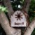 Glitzhome 7.09 L Semicircle Wooden Garden Bird House, Distressed Textured Perspective: right