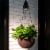 Glitzhome Solar Light Hanging Planter Perspective: right