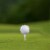 Noa Store 3 1/4  Plastic Golf Tees - 150 Tees in Bulk - White and Red Perspective: right
