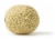 Cantaloupe Perspective: top