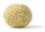 Cantaloupe Perspective: top