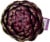 Ocean Mist Farms Purple Artichoke Perspective: top