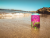 Anderson Valley Tropical Hazy Sour Craft Beer Perspective: top