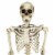 Northlight 5' Life Size Skeleton Hanging Halloween Decoration Perspective: top