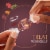 Lindt LINDOR Maple Milk Chocolate Candy Truffles Perspective: top