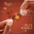 Lindt LINDOR Fall Pumpkin Spice Milk Chocolate Candy Truffles Bag Perspective: top
