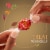 Lindt LINDOR Fall Assorted Chocolate Candy Truffles Bag Perspective: top