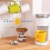 Cameron's Coffee EcoPods, Hawaiian Blend Light Roast Perspective: top