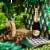 Perrier Jouet Grand Brut Champagne France Sparkling Wine Perspective: top