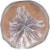 Kroger® Cinnamon Raisin Pre-Sliced Bagels Perspective: top