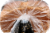 Private Selection™ Honey Oat Bread Perspective: top