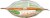 Simple Truth Organic™ Chicken Tortilla Soup Mix Perspective: top
