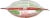Simple Truth Organic™ Red Lentil Soup Mix Perspective: top