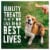 Abound® Grain Free All Size Dogs Jerky Bites Dog Treats Lamb Chickpea & Squash Perspective: top