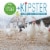 Simple Truth™ Kipster Medium Grade A Eggs Perspective: top