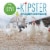 Simple Truth™ Kipster Large Grade A Eggs Perspective: top