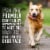 ABOUND® Pro Vet Formulated Skin & Coat Support Wet Dog Food Chicken Salmon & Sweet Potato Pate Perspective: top