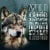 ABOUND® Wild Beginnings Adult Dry Dog Food Beef Venison & Lamb Perspective: top