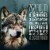 ABOUND® Wild Beginnings Adult Dry Dog Food Beef Venison & Lamb Perspective: top